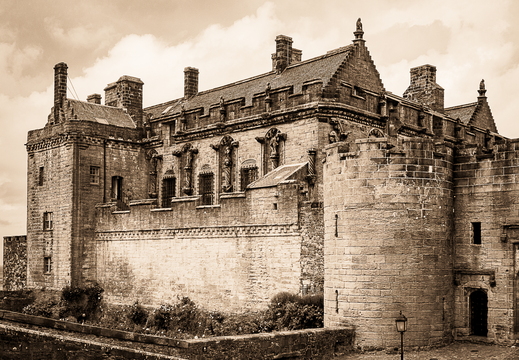 20210619-IMG 9555-Enhanced