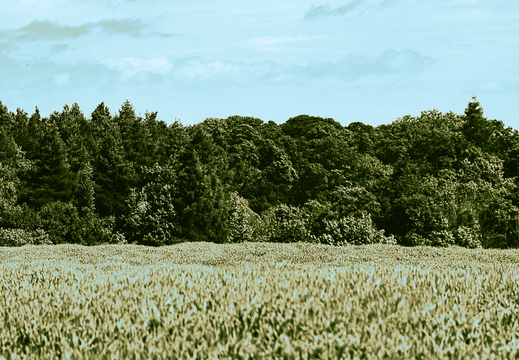 20210624-IMG 9711-Enhanced